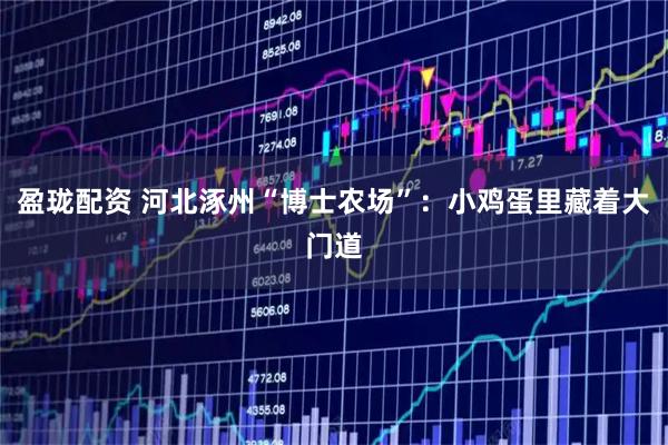 盈珑配资 河北涿州“博士农场”：小鸡蛋里藏着大门道